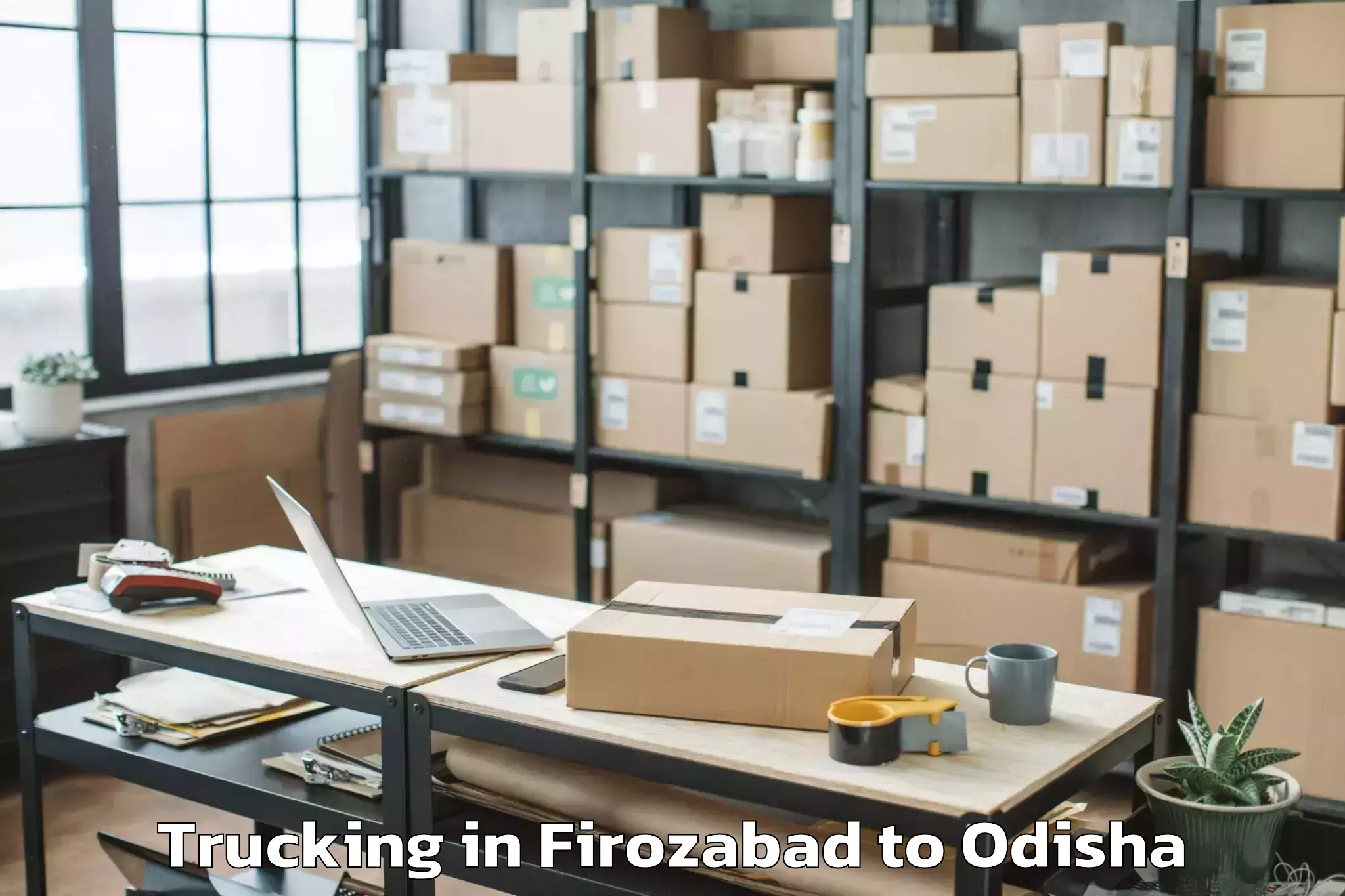 Book Firozabad to Pipili Trucking